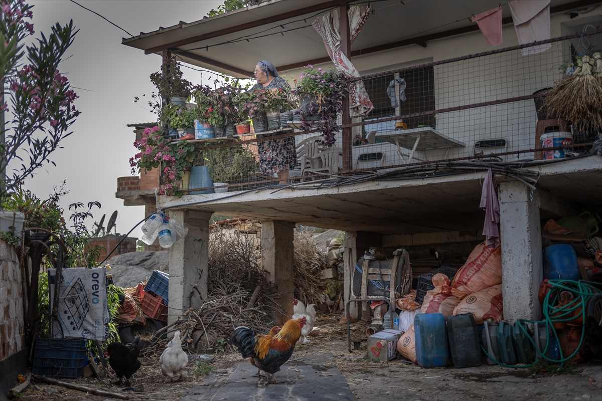 Fotoğraf ve tarihseverlerin yeni gözde rotası, Didim