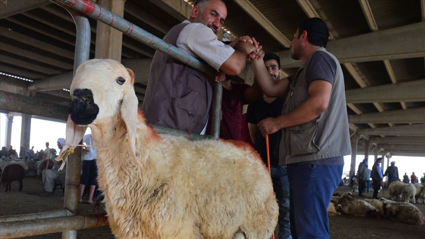 Kurban Bayramı Tatili 9 Güne Çıkarıldı