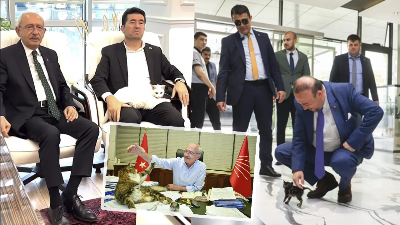 Kılıçdaroğlu’nun Şero’su, Yalım’ın Mia’sından Sonra Şimdi de Sütlaç Çıktı