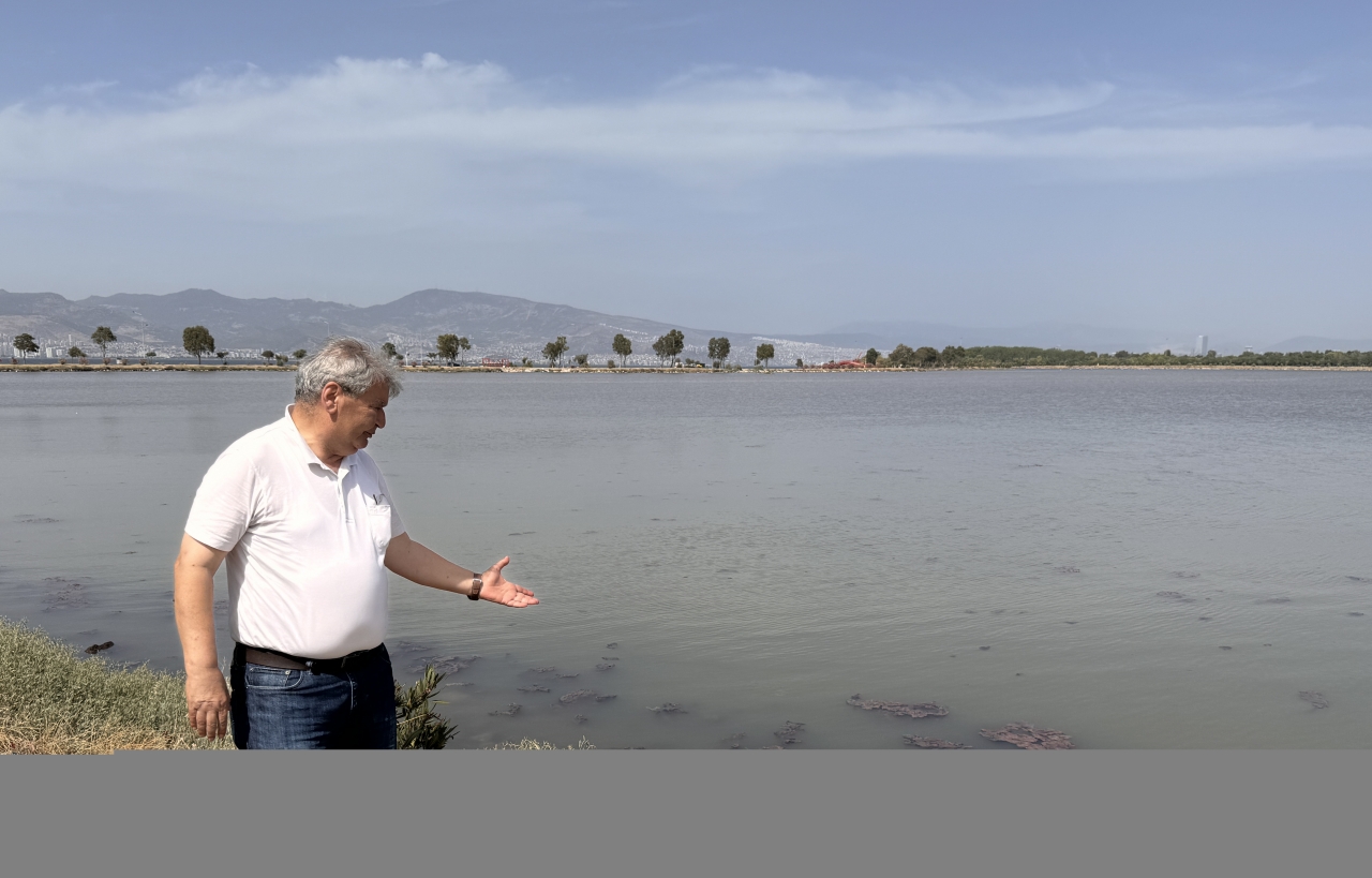 İzmir'de plankton patlaması denizin rengini değiştirdi
