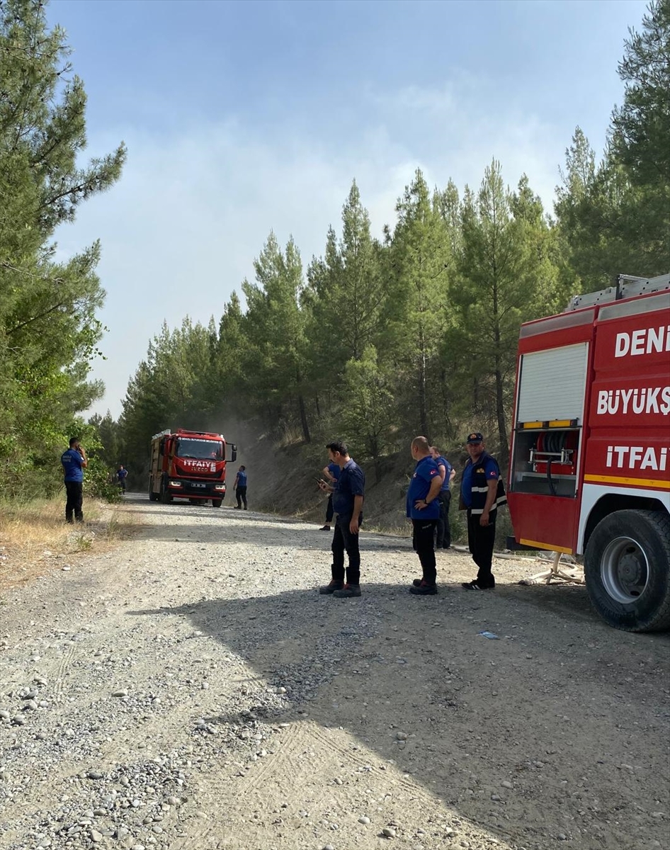 Denizli'de 7 ilçede çıkan orman yangınlarına ekiplerce müdahale ediliyor