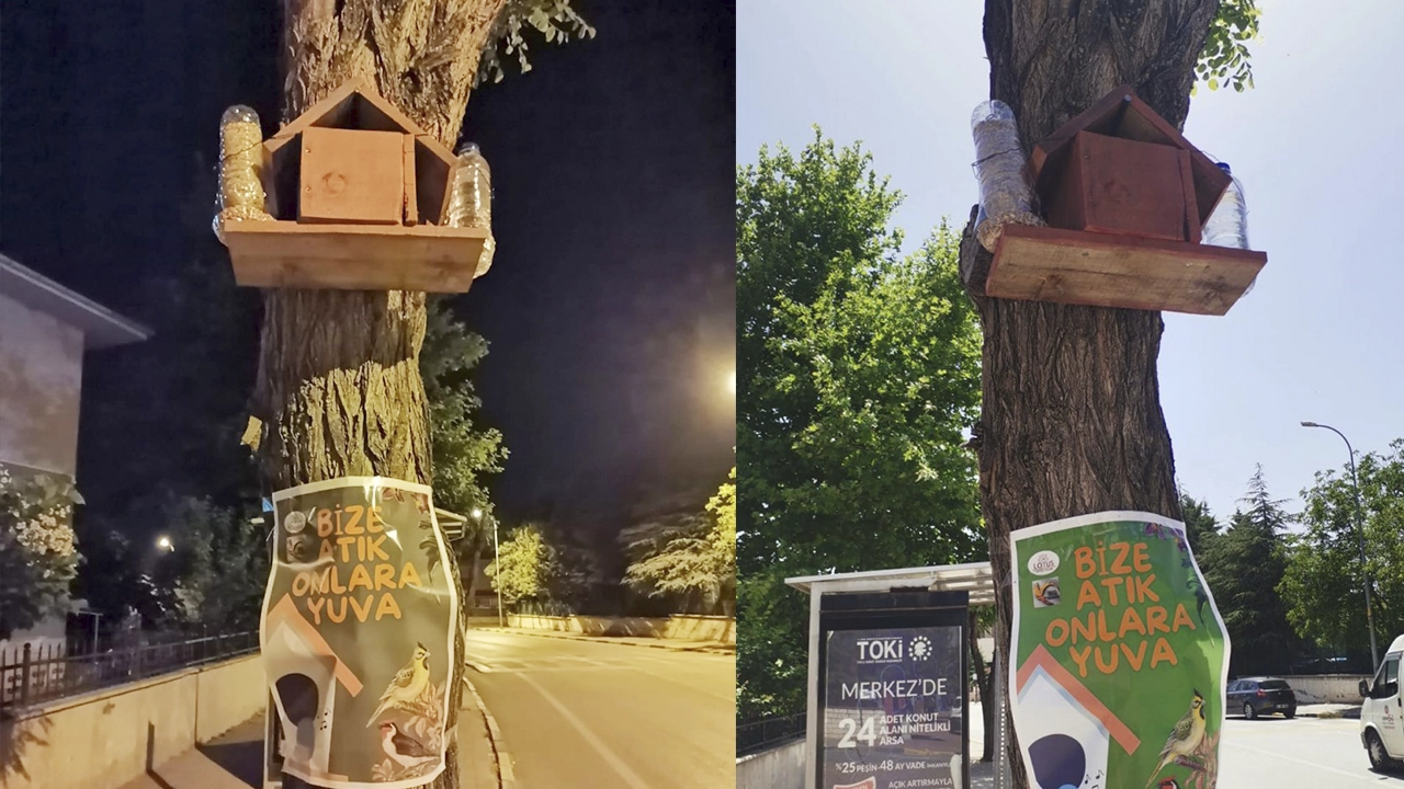 Uşak Üniversite Öğrencileri Kuşlara Yuva Yaptı