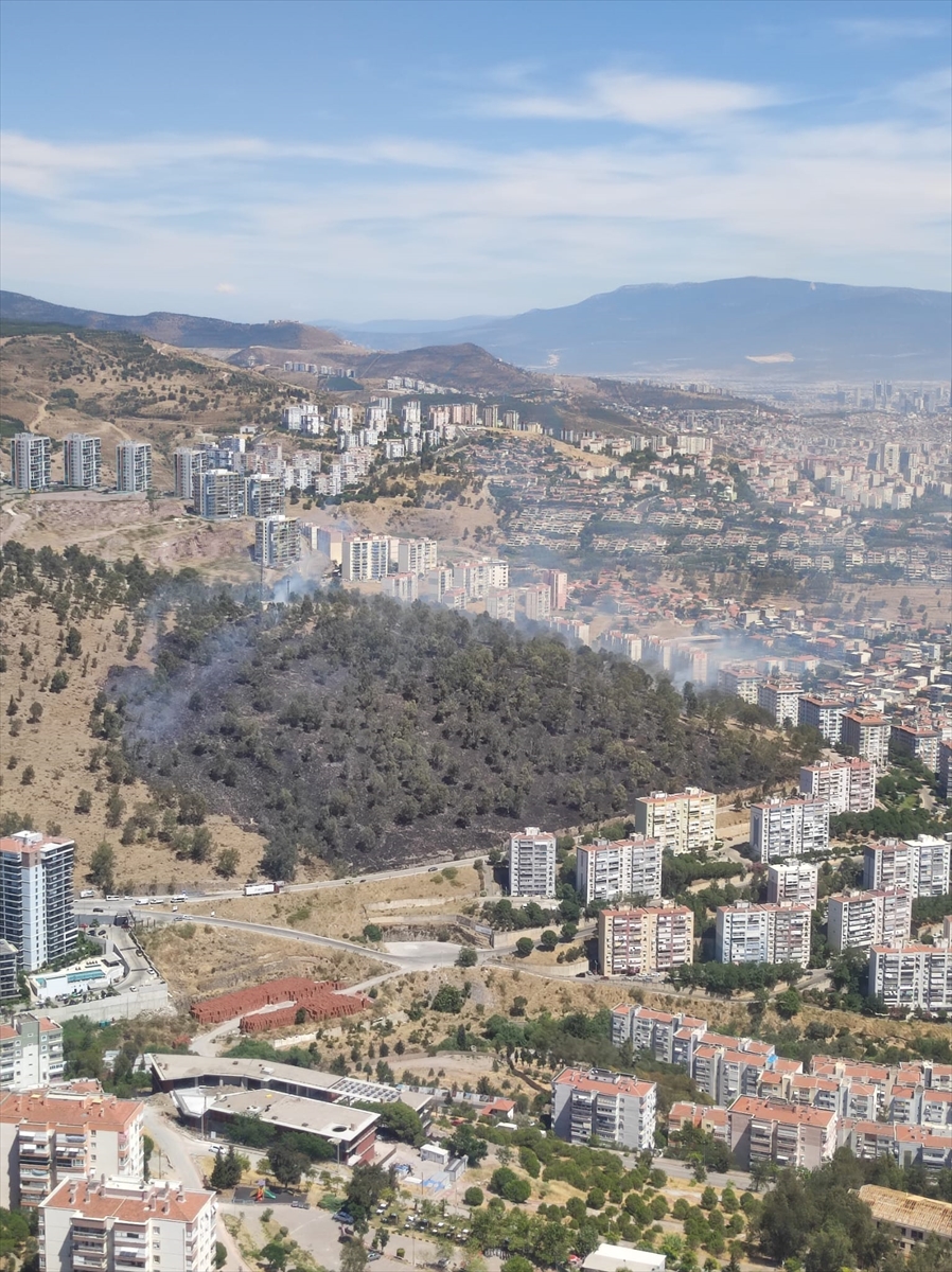 Dört ilçesinde çıkan yangınlar kontrol altına alındı