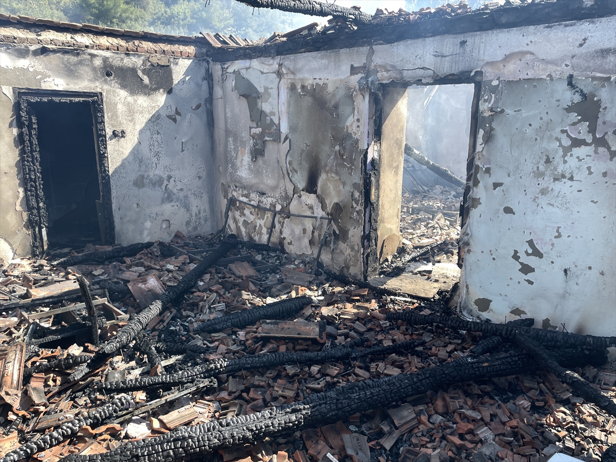 Aydın'da iki ilçede çıkan ev yangınları diğer evlere ve ormana sıçradı