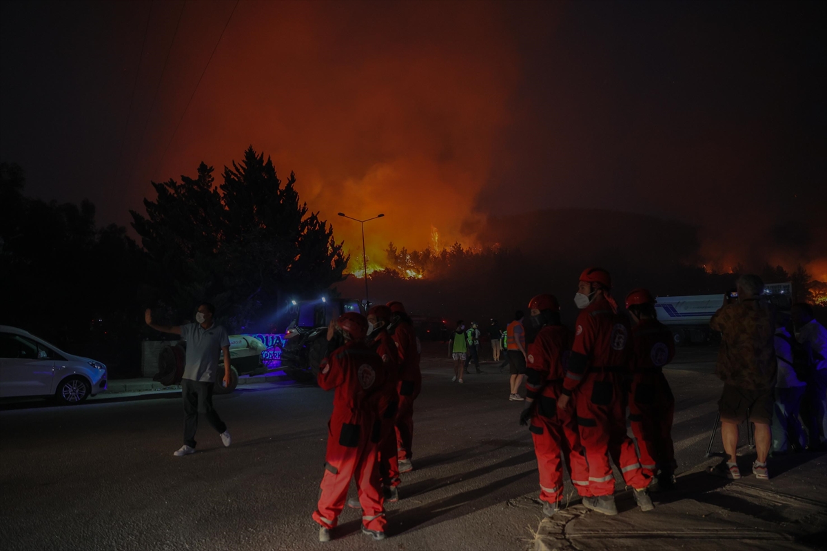 İzmir'in Selçuk ilçesinde orman yangını çıktı