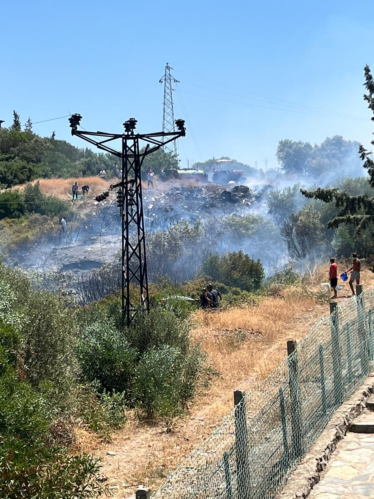 Milas'ta makilik alanda çıkan yangın söndürüldü