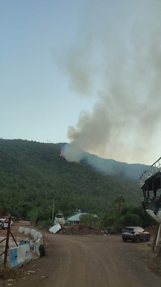 Muğla'nın Milas ilçesinde orman yangını çıktı