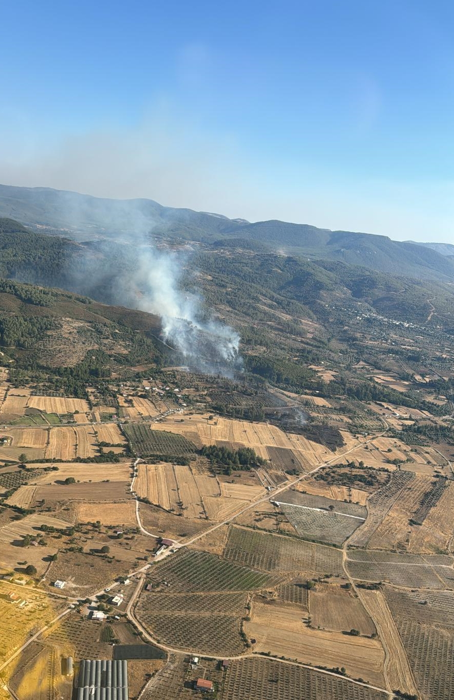 Muğla'da zirai alanda çıkan yangın ormana sıçradı