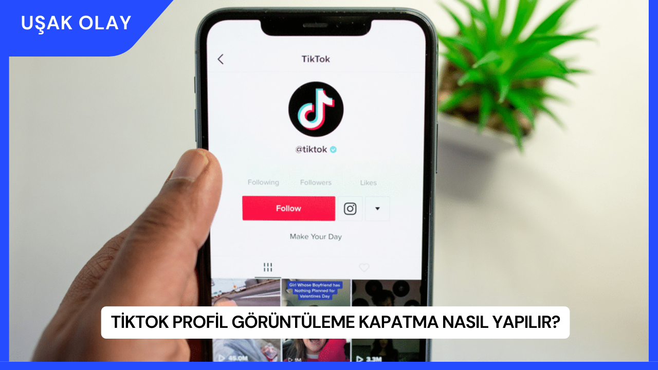 TikTok Profil Görüntüleme Kapatma Nasıl Yapılır?