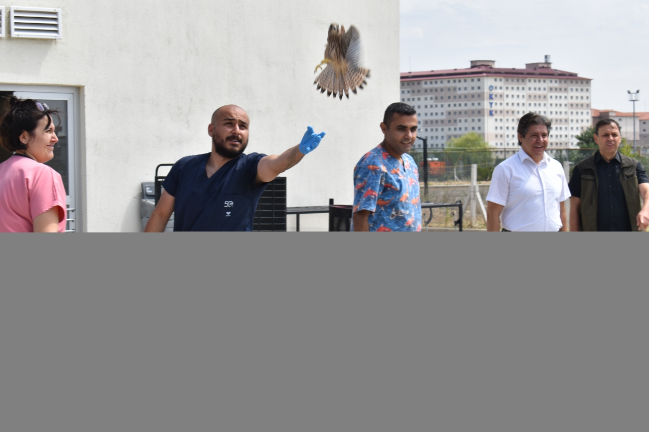 Afyonkarahisar'da tedavileri tamamlanan kuşlar doğaya salındı