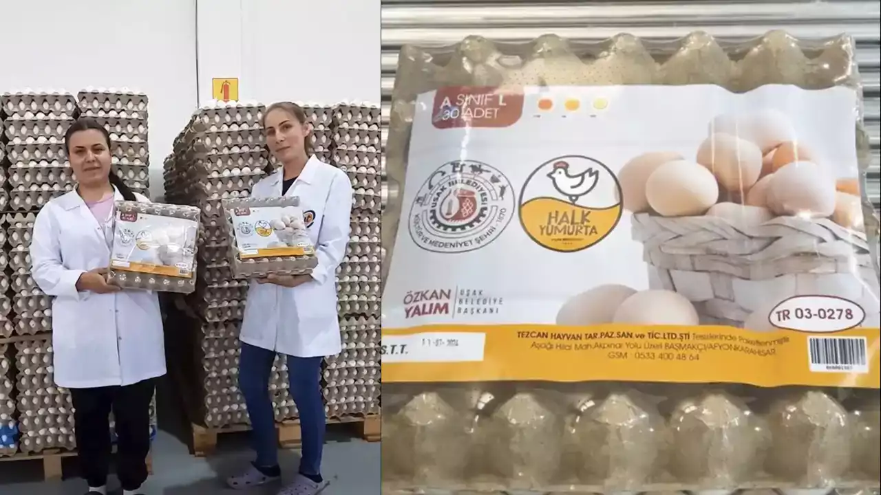 Uşak Belediyesi Halk Yumurtayı Satışa Sundu..!