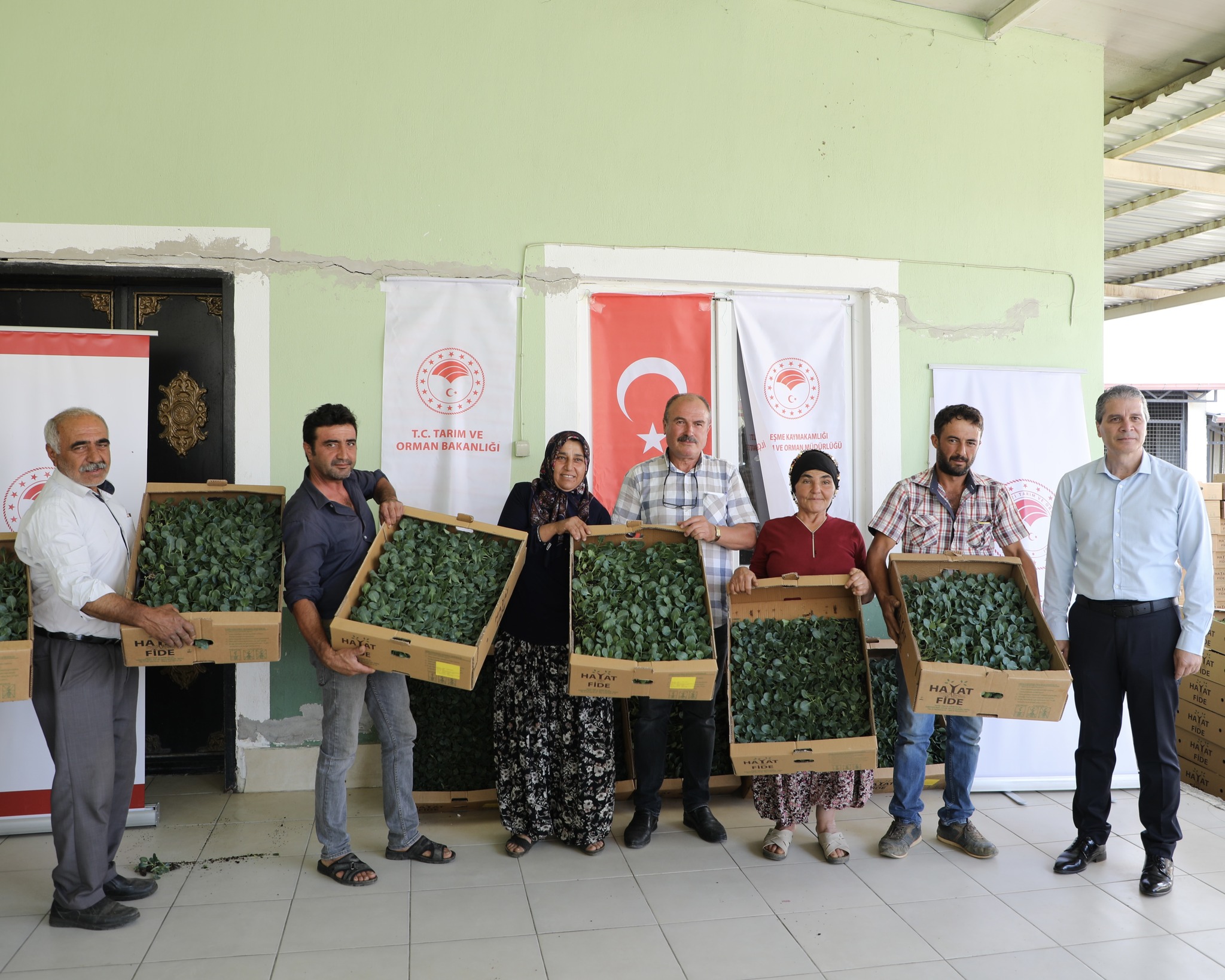 Yeleğen Karnabaharın Anavatanı Olacak