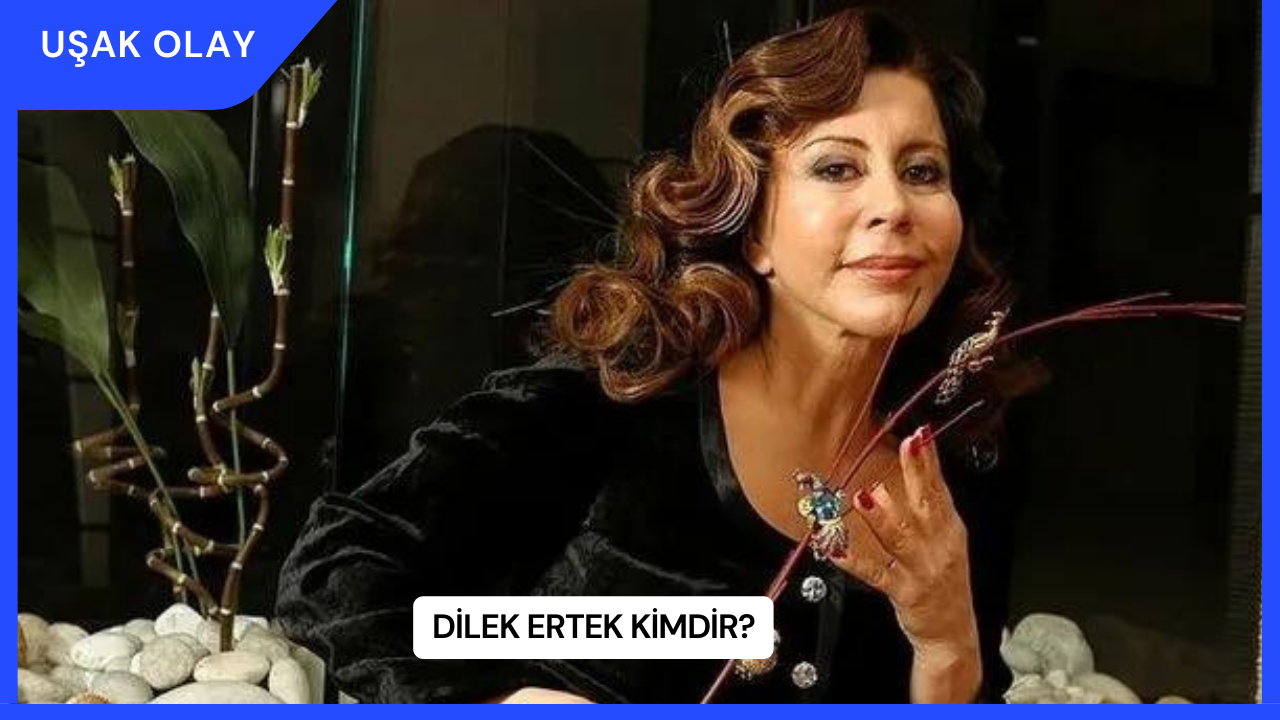 Dilek Ertek Kimdir?