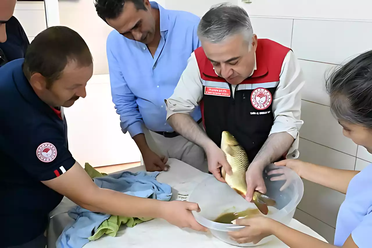 Uşak Suları 5 Milyon Sazan Yavrusundan Nasibini Alacak..!
