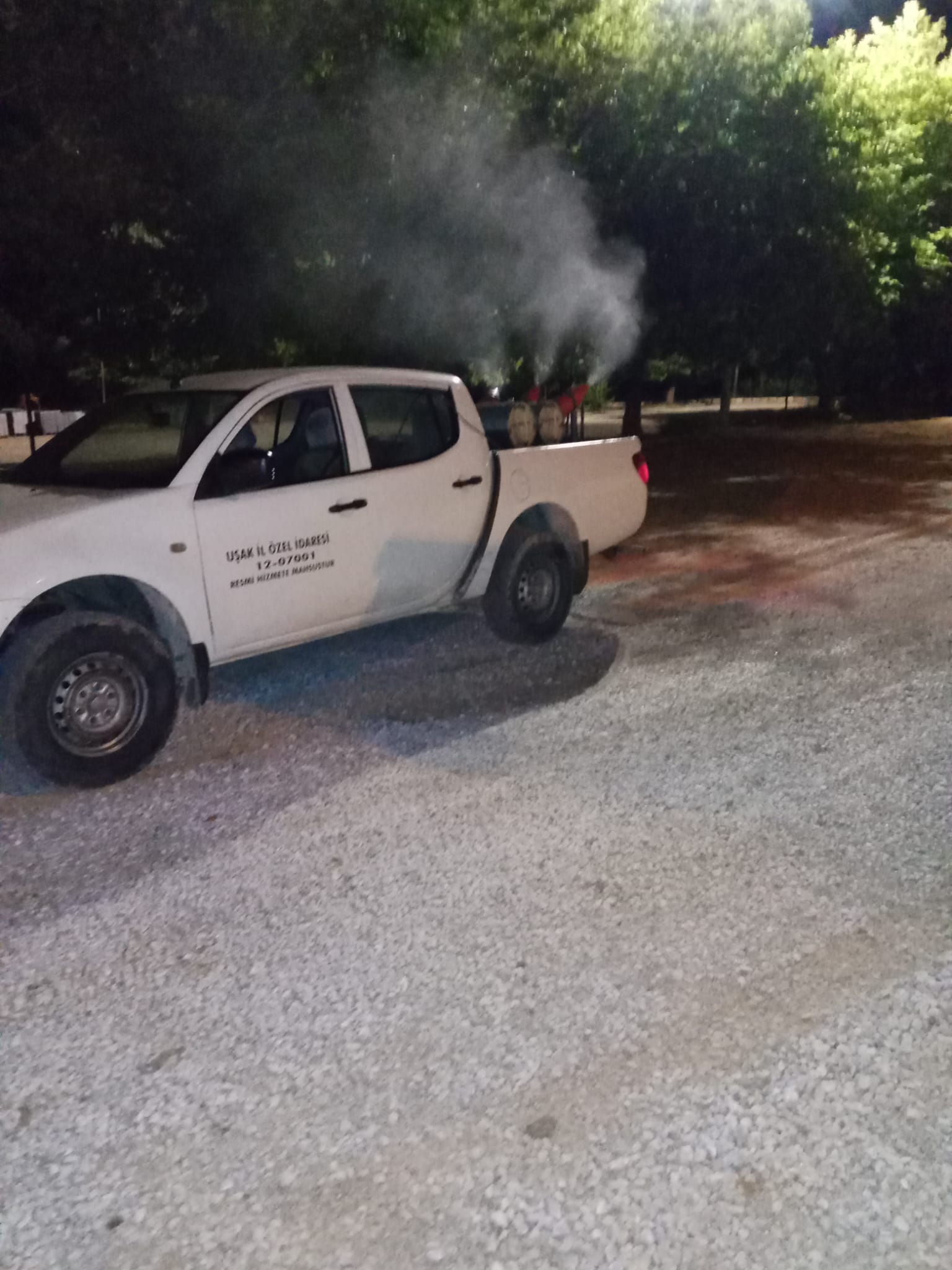 Zararlı Uçan Böcekle Mücadele Başladı