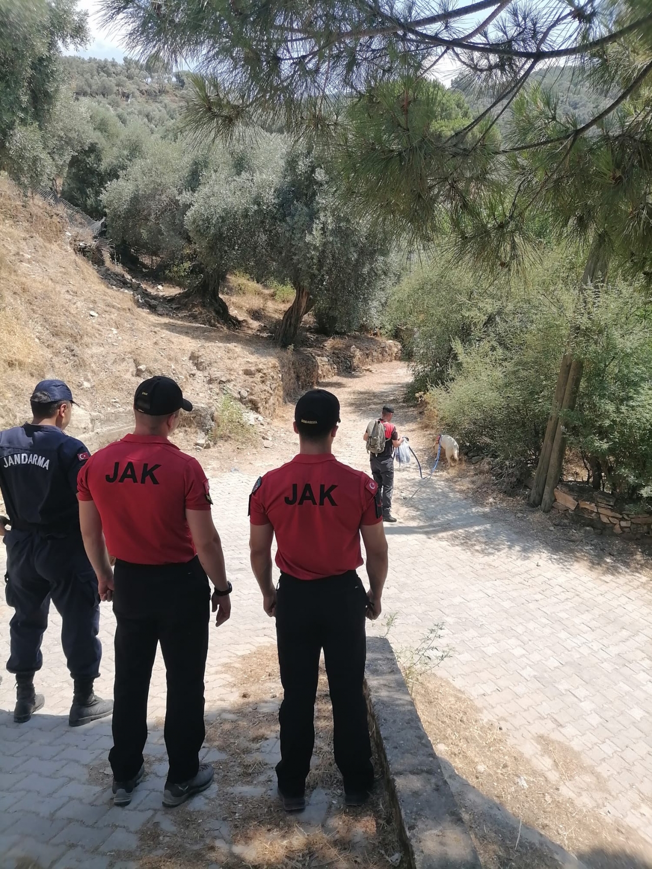 Aydın'da kaybolan 56 yaşındaki kişiyi arama çalışmaları devam ediyor