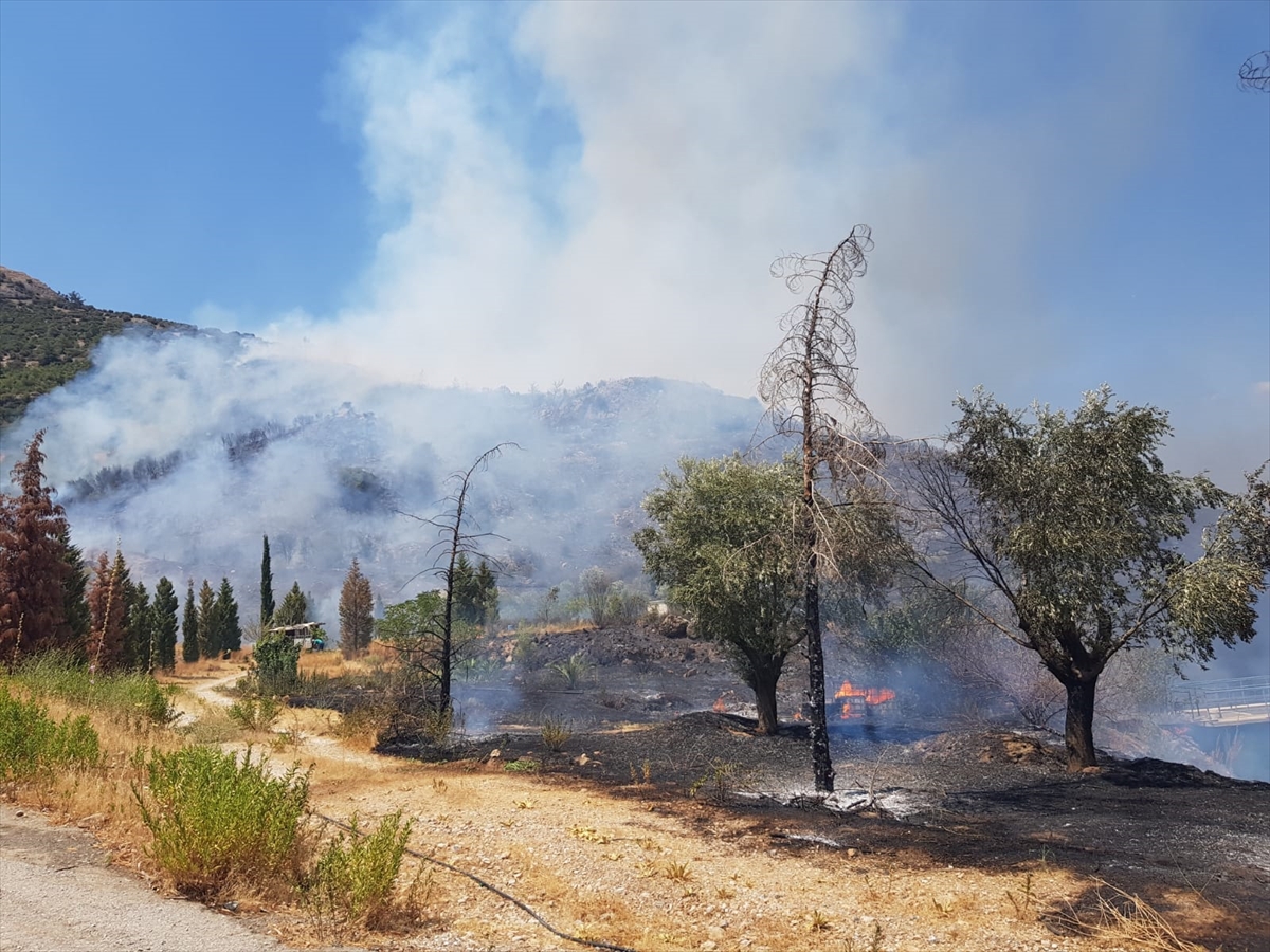 İzmir'de Ormanlık Alanda Çıkan Yangına Müdahale Ediliyor