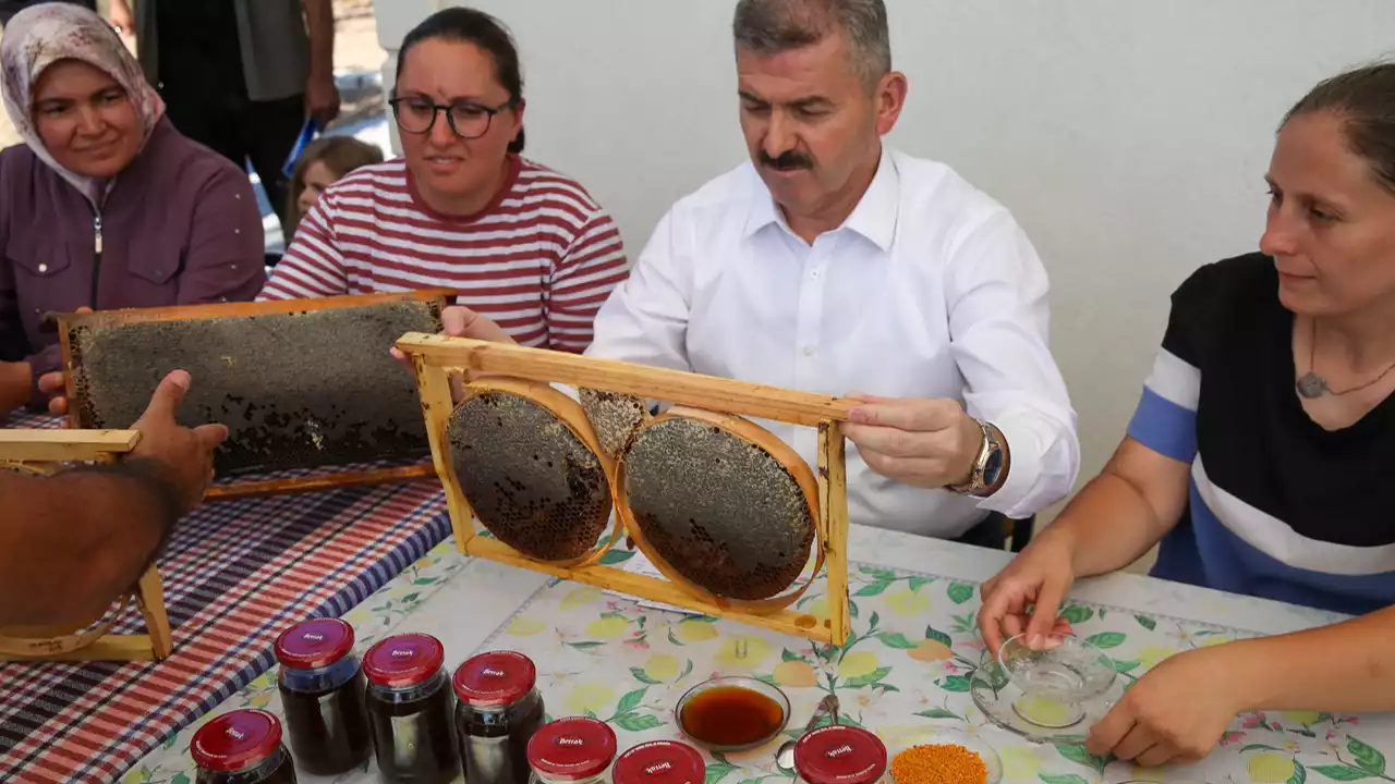 Uşak’ta Kadınlar Hibe Aldıkları Arıcılıkta İlk Bal Hasadını Gerçekleştirdi