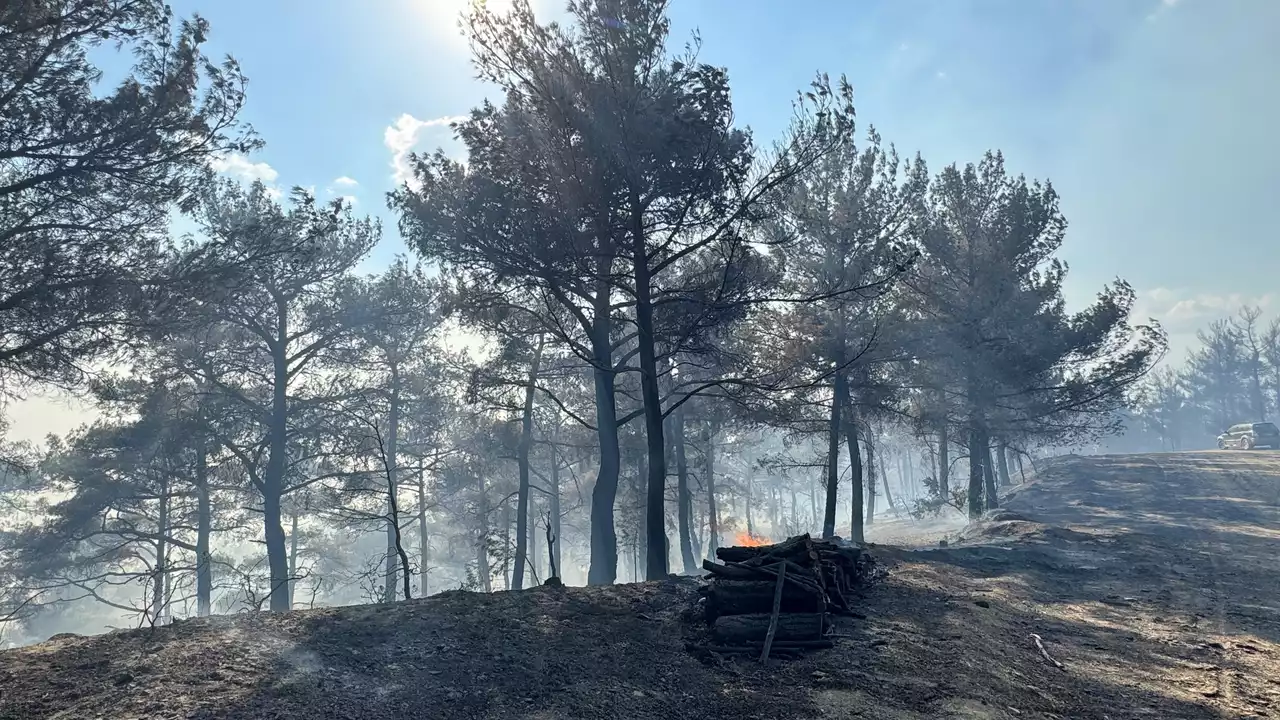 Uşak'ın Ciğeri Murat Dağı'nda Yangın Çıktı..!