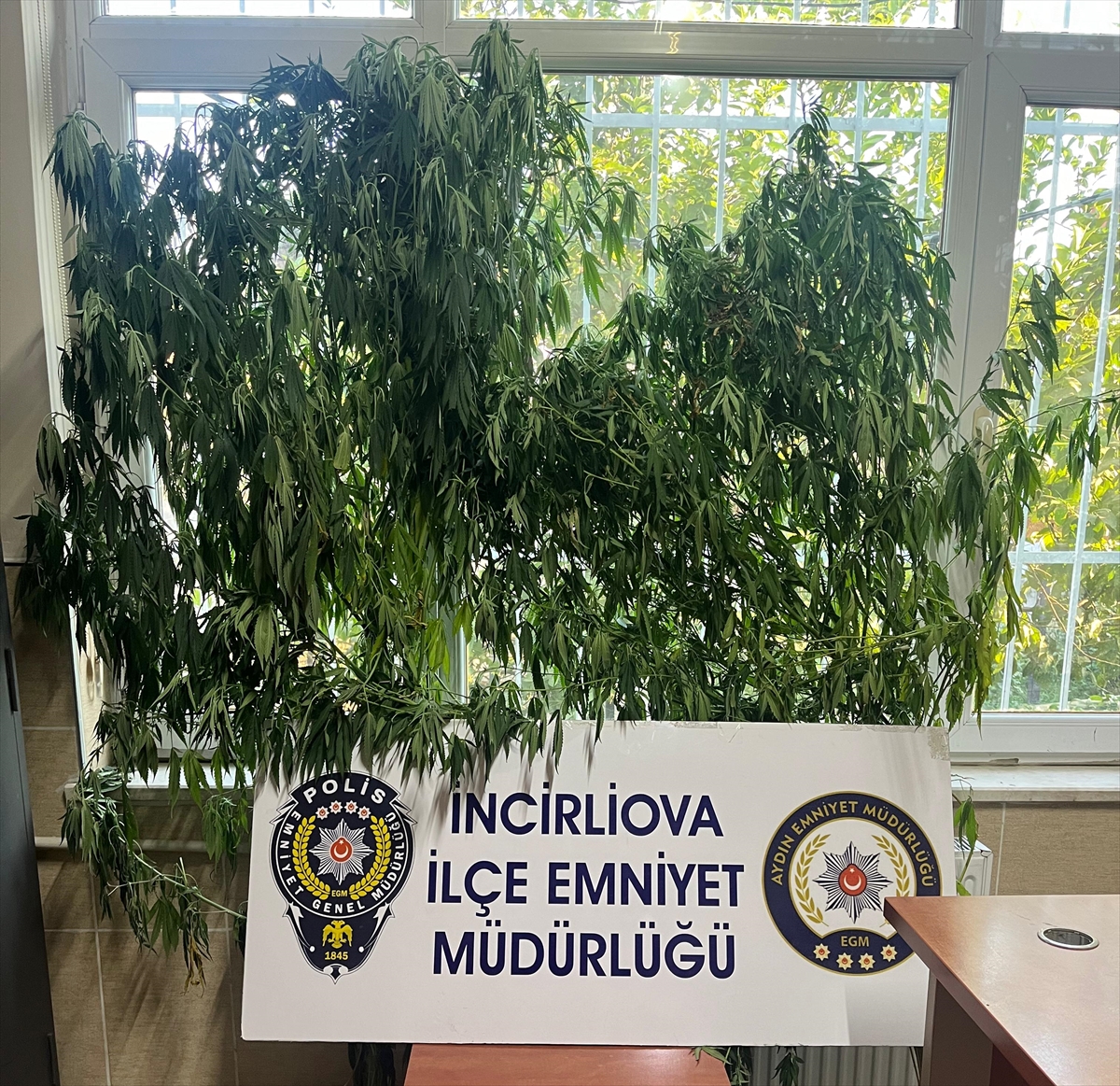 Aydın'da uyuşturucu operasyonu