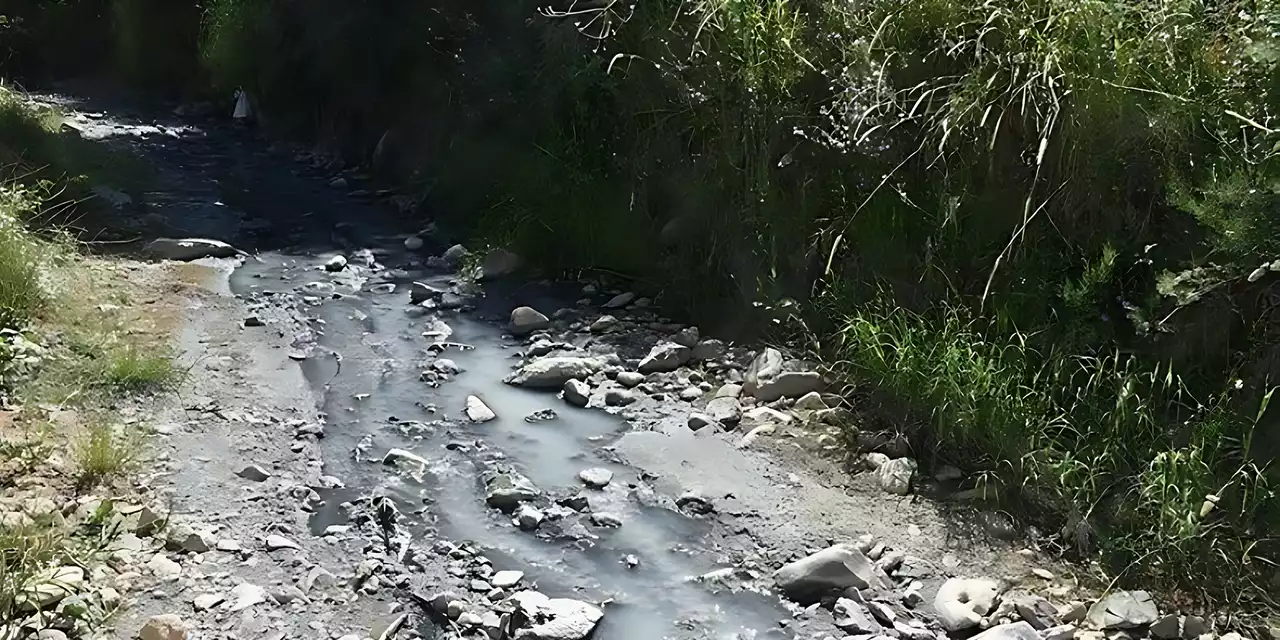 İzmir Dikili'deki vatandaşlar, Müsellim Deresi'ndeki koku ve kirlilik sorununa çözüm istiyor