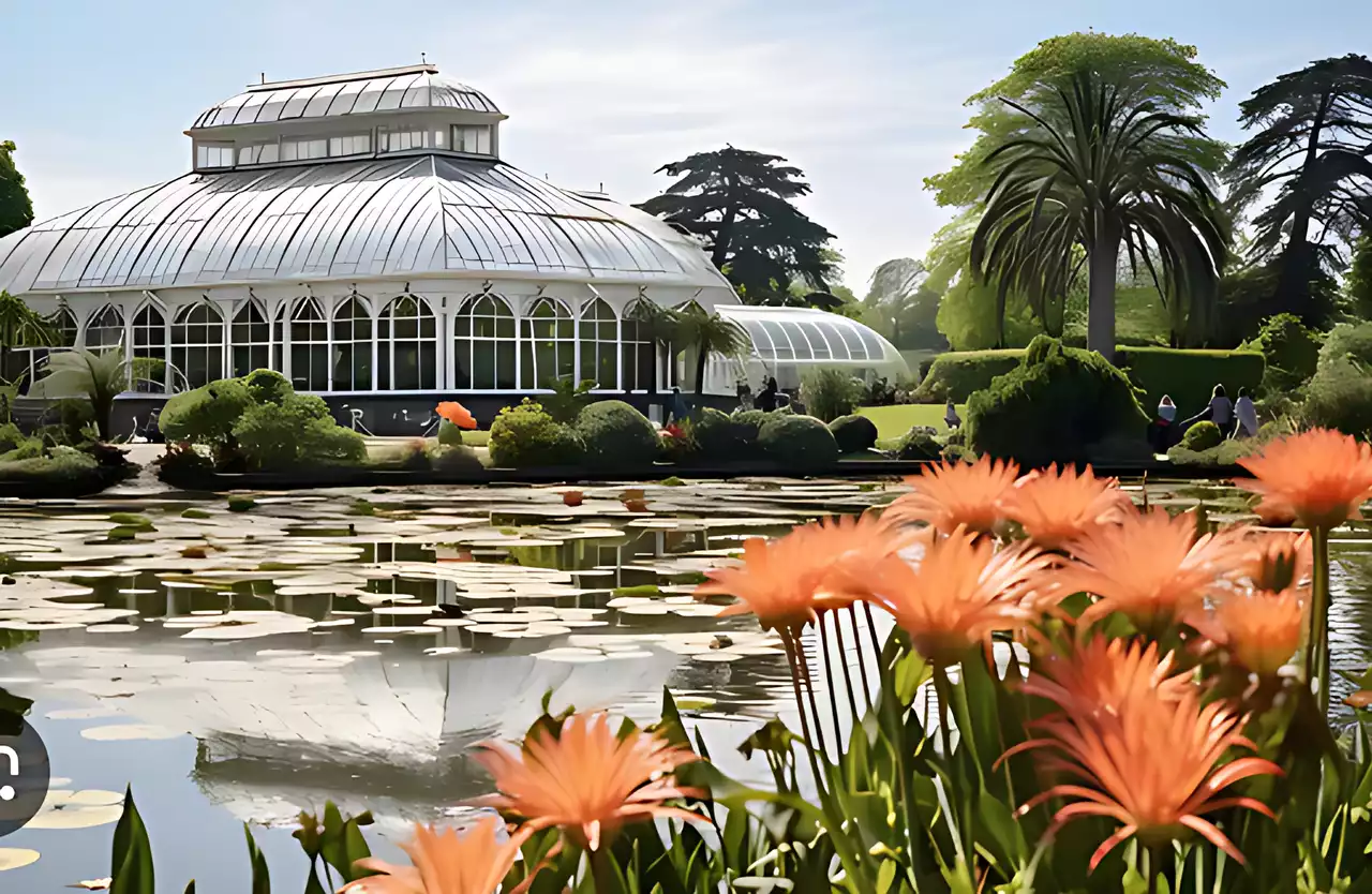 İngiltere'deki botanik bahçesi Kew Gardens'ın yarısı iklim değişikliği nedeniyle risk altında