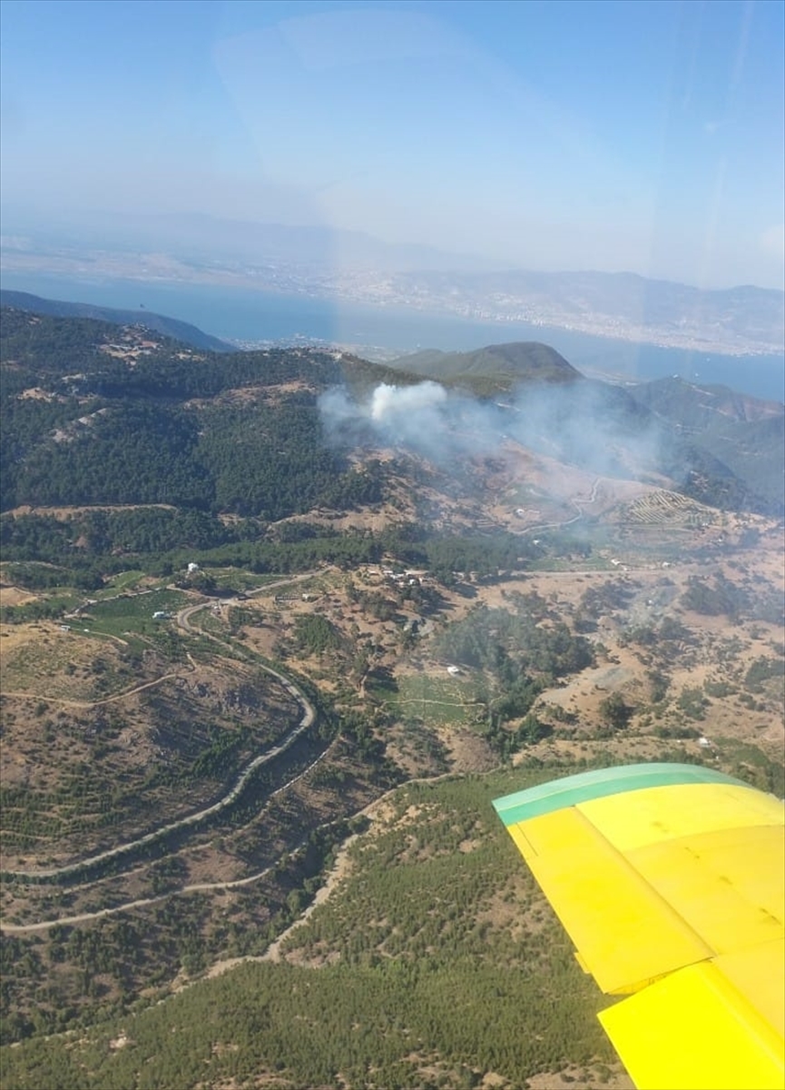 İzmir'de çıkan orman yangınına müdahale ediliyor