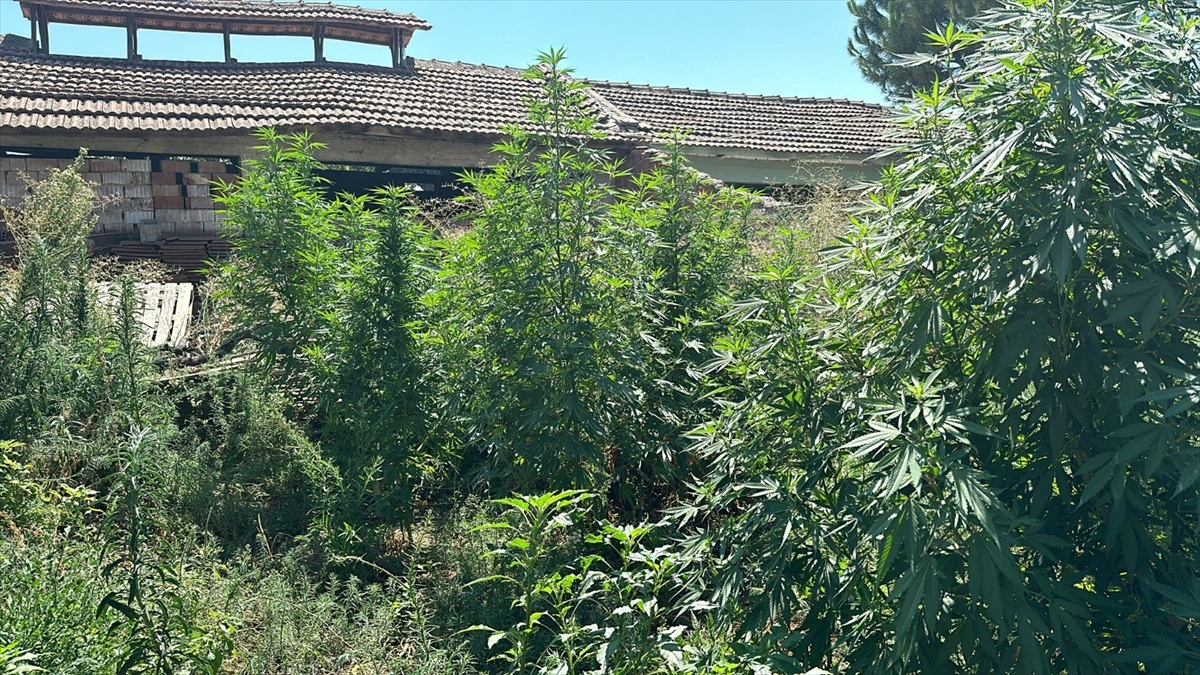 Salihli'de evinde uyuşturucu bulunan şüpheli tutuklandı