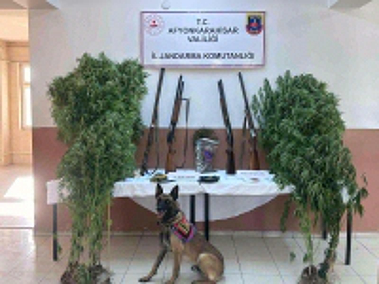 Afyonkarahisar'dan kısa kısa