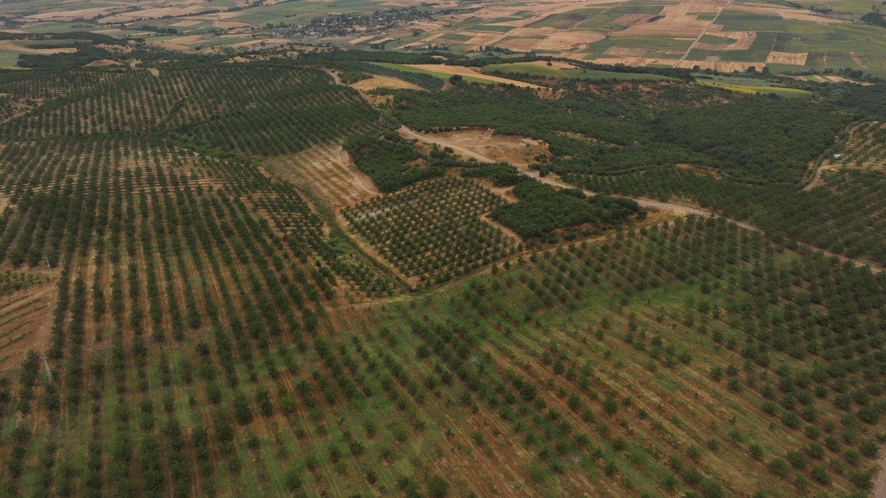 Yapay zeka destekli sulama sistemi verimde artış, enerjiden tasarruf sağlıyor