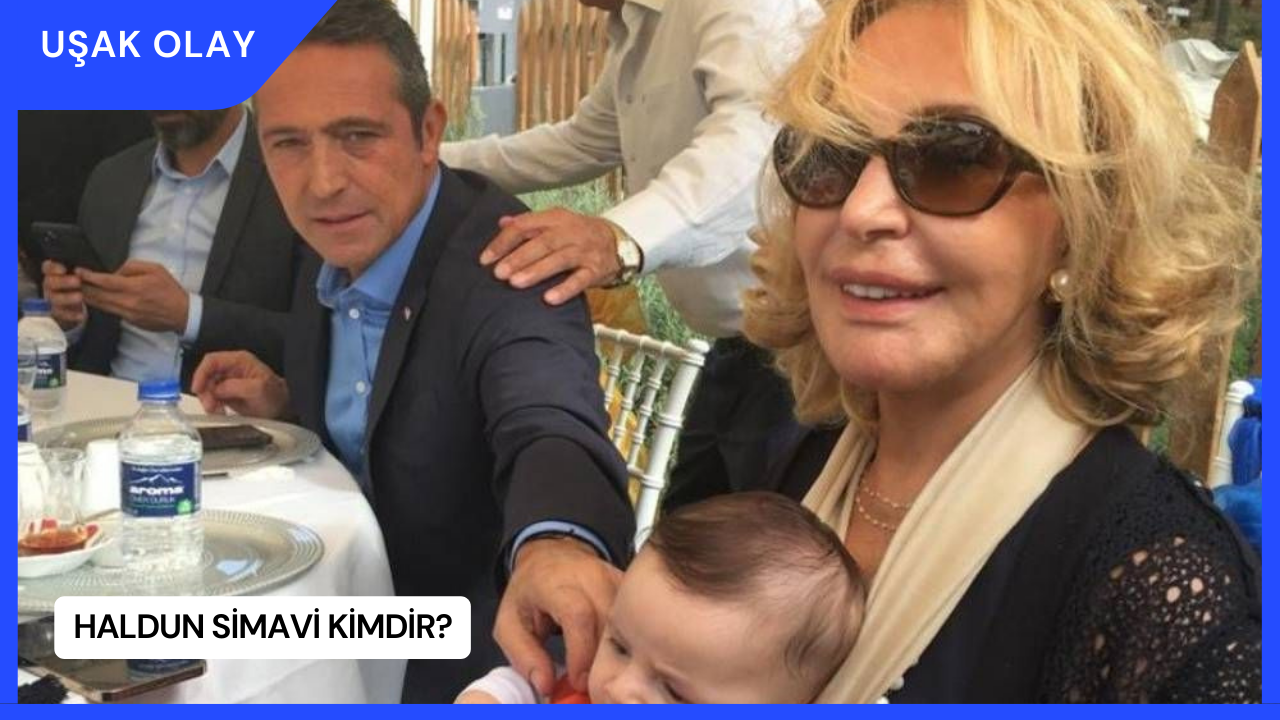 Haldun Simavi Kimdir?