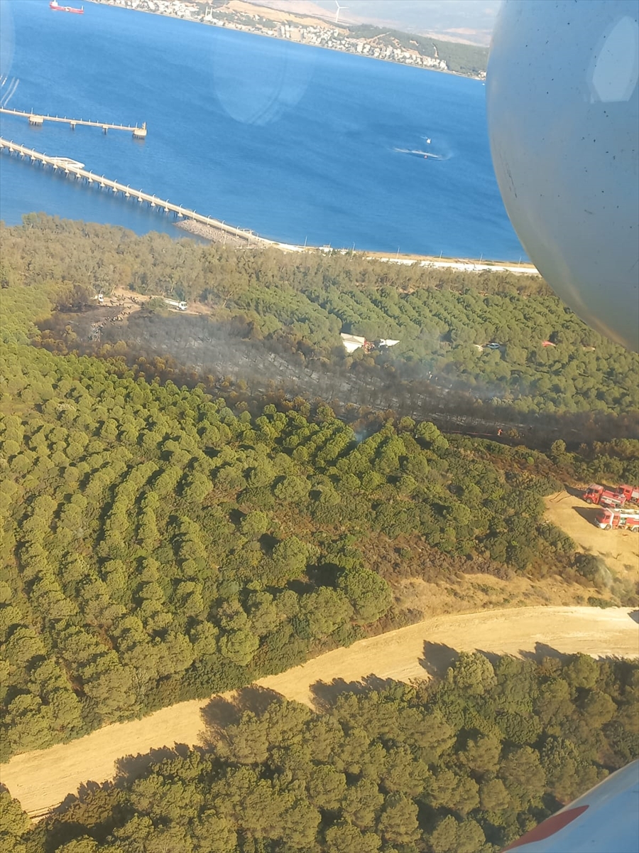 İzmir'de çıkan orman yangınına müdahale ediliyor