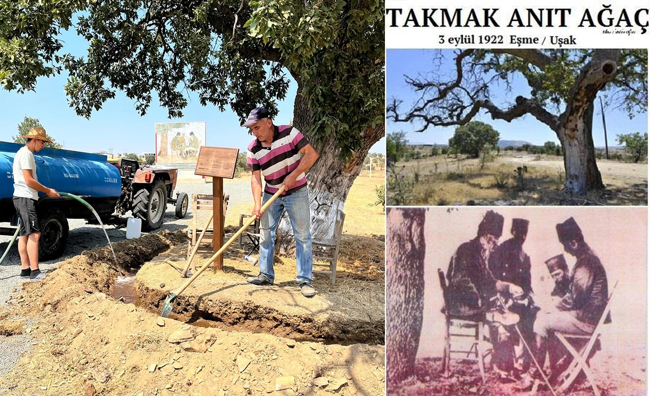 Uşak’ta Atatürk Ağacına Bakım Yapıldı