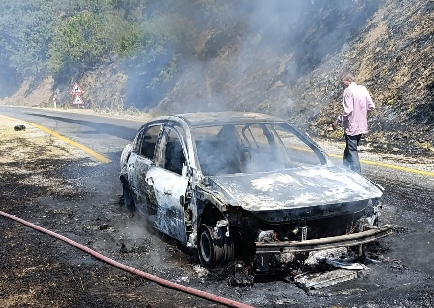 Aydın'da otomobilde başlayıp ormana sıçrayan yangın kontrol altına alındı
