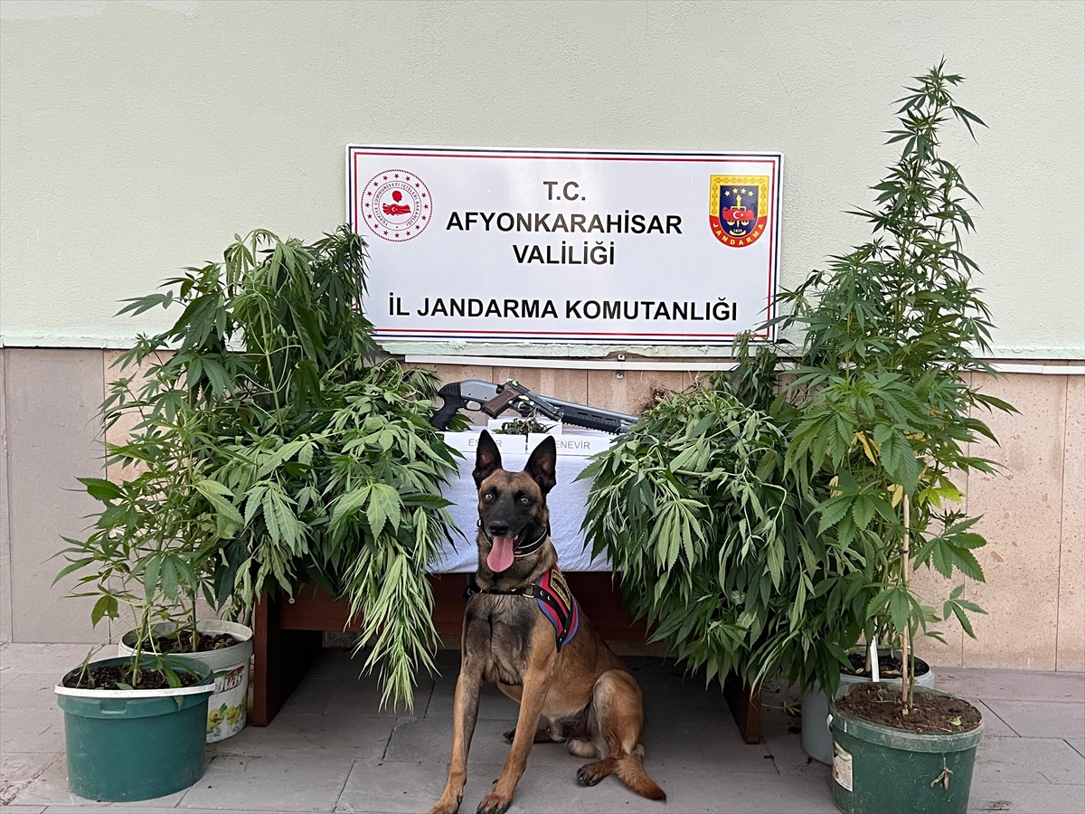 Afyonkarahisar'da uyuşturucu operasyonunda 2 şüpheli yakalandı