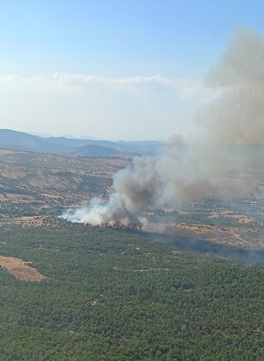 Manisa Yunusemre'de çıkan orman yangınına müdahale ediliyor