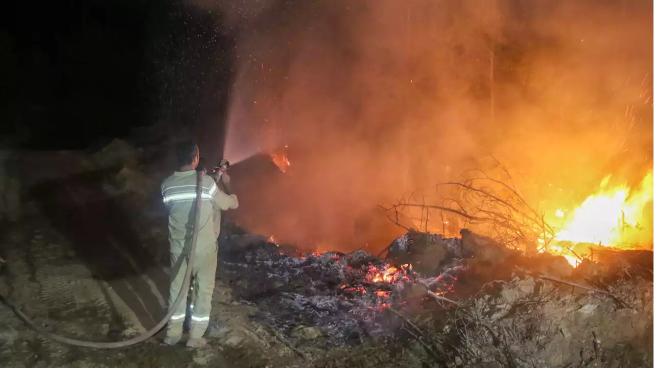 Aydın'da zeytinlik ve ormanlık alanda çıkan yangına müdahale sürüyor
