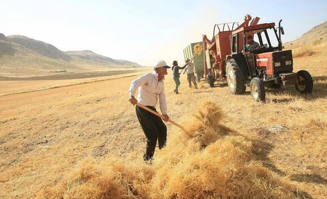 Uşak Tarımında Ekim Zamanları Değişti