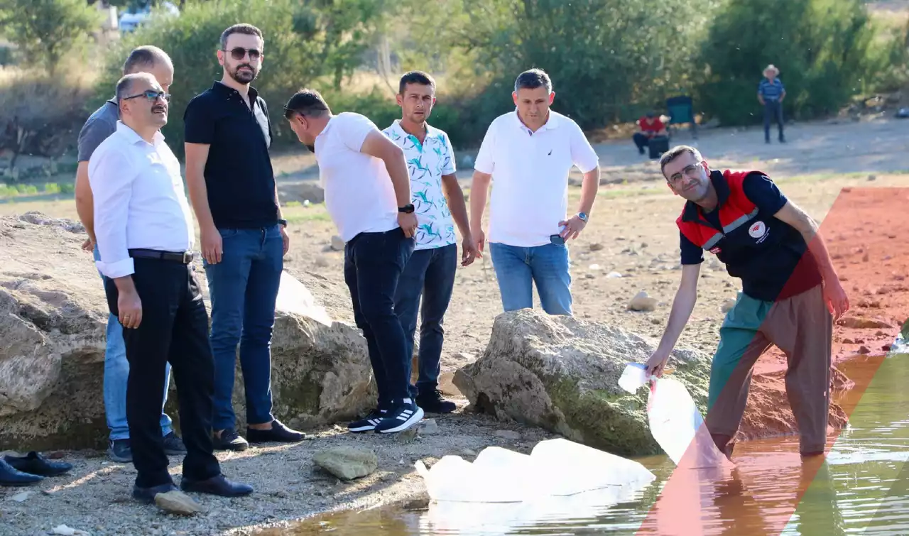 Uşak’taki Göletlere 368 Bin Adet Sazan Bırakıldı