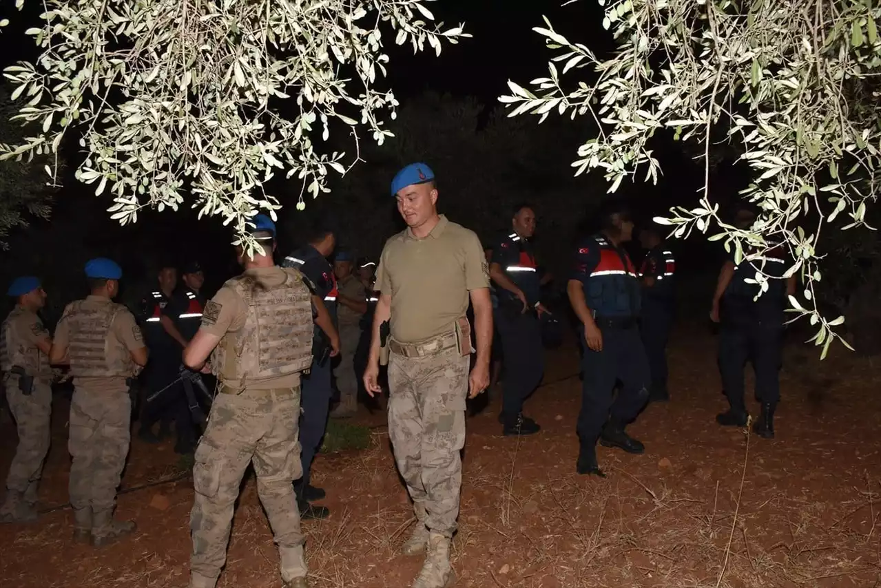 Aydın'da jandarma ekipleri, incir ve zeytin bahçelerindeki hırsızlıkları önlemek amacıyla uygulama yaptı