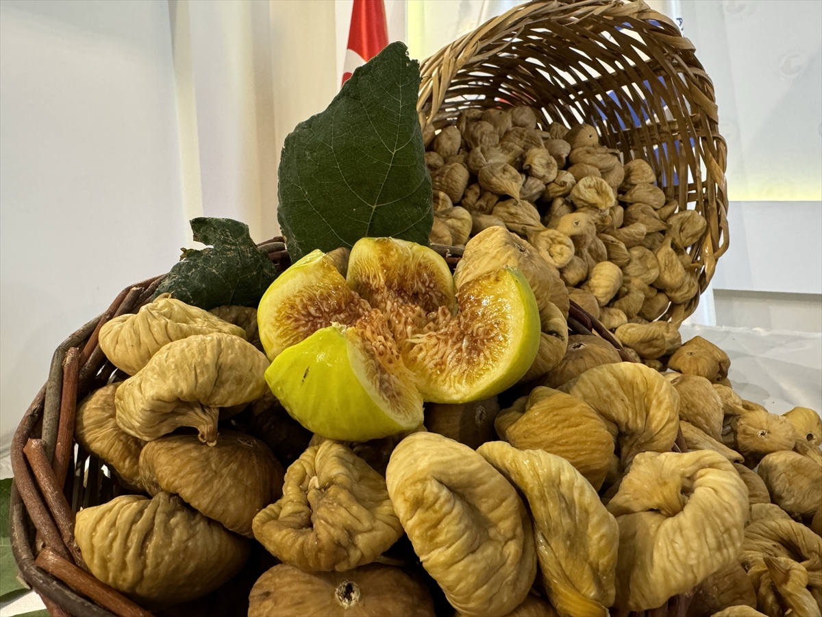 Aydın'da sezonun ilk kuru inciri, kilogramı 700 liradan satıldı