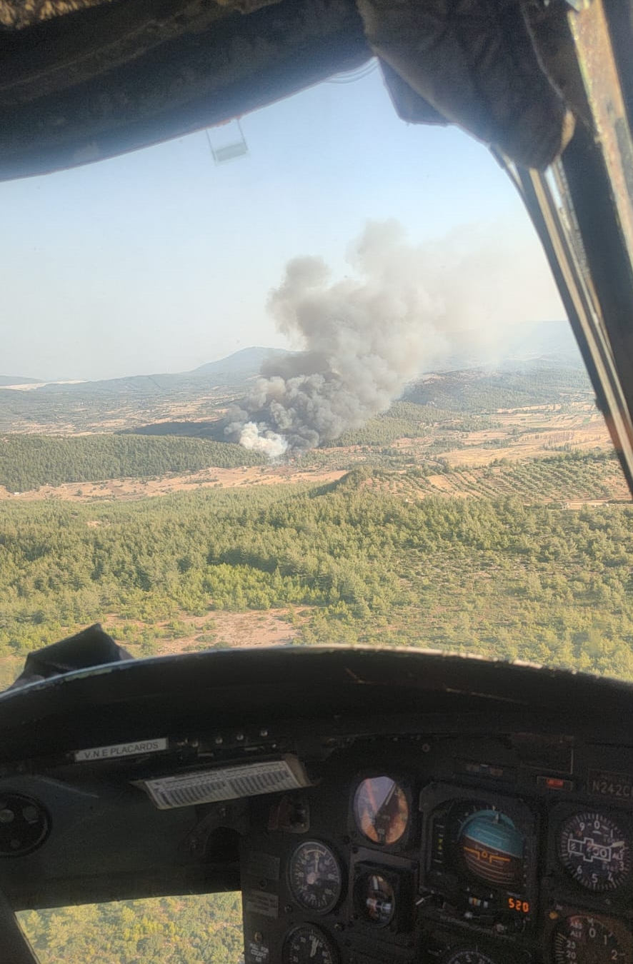 Milas'ta ormanlık alanda çıkan yangına müdahale ediliyor
