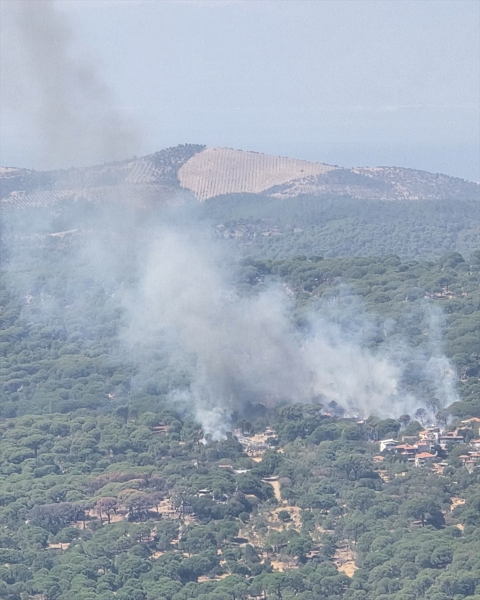 İzmir Bergama'da çamlıkta çıkan yangın kontrol altına alındı