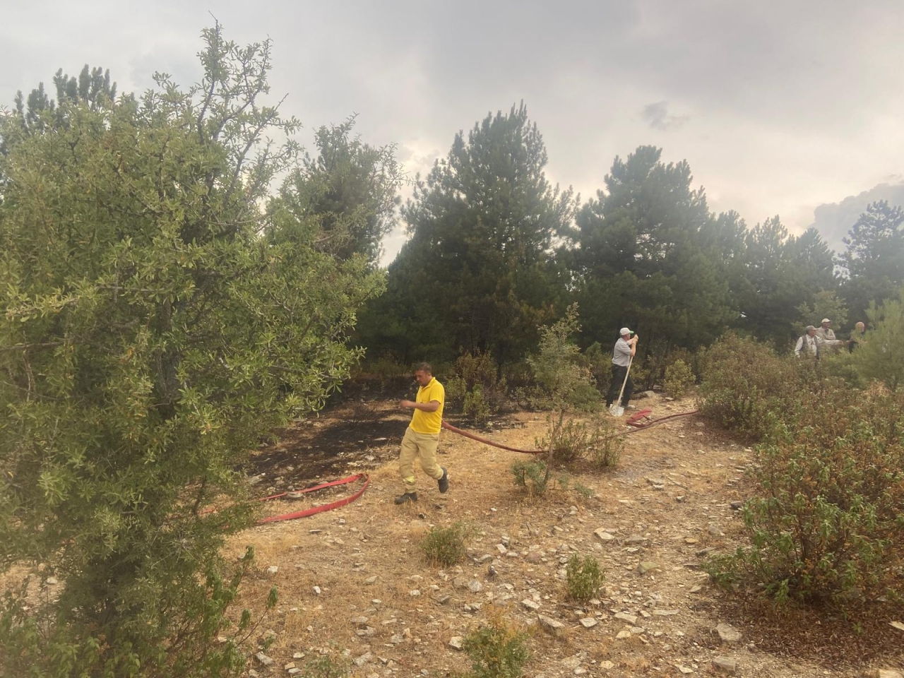Manisa'nın Demirci ilçesindeki orman yangınları söndürüldü