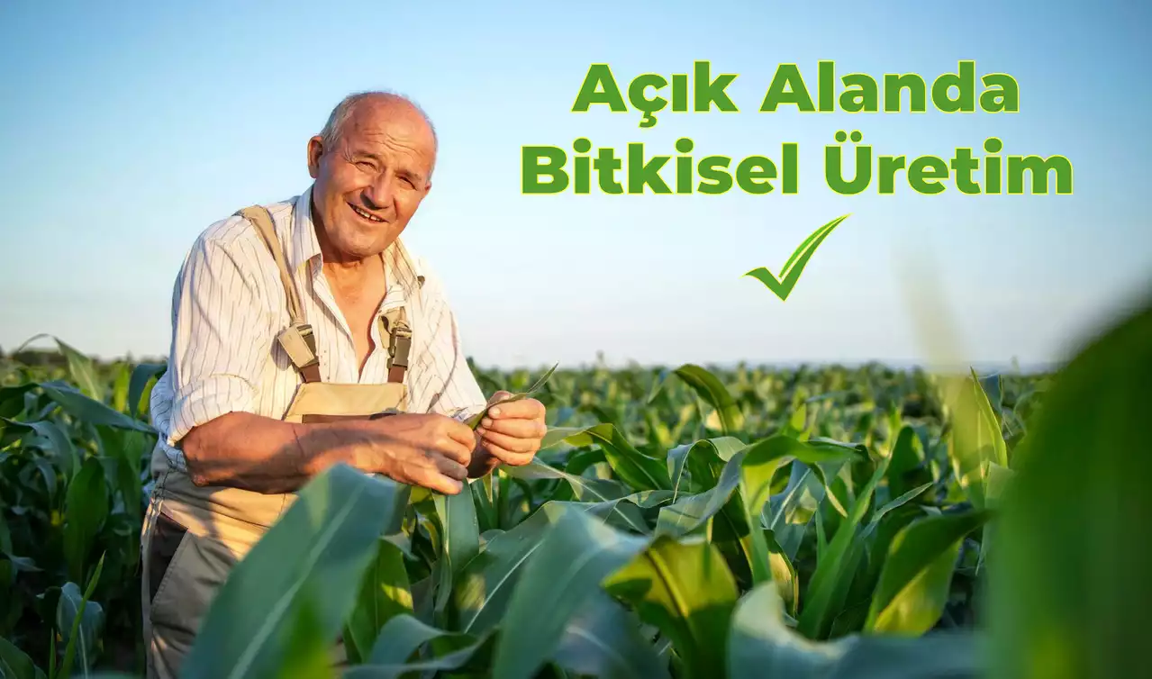 Uşak TKDK 5. Başvuru İlanına Çıktı