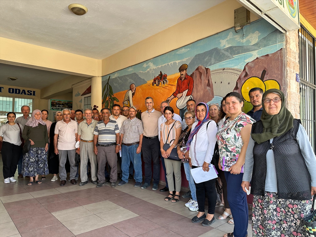 Aydın Bozdoğan'da zeytinyağı üreticilerine eğitim
