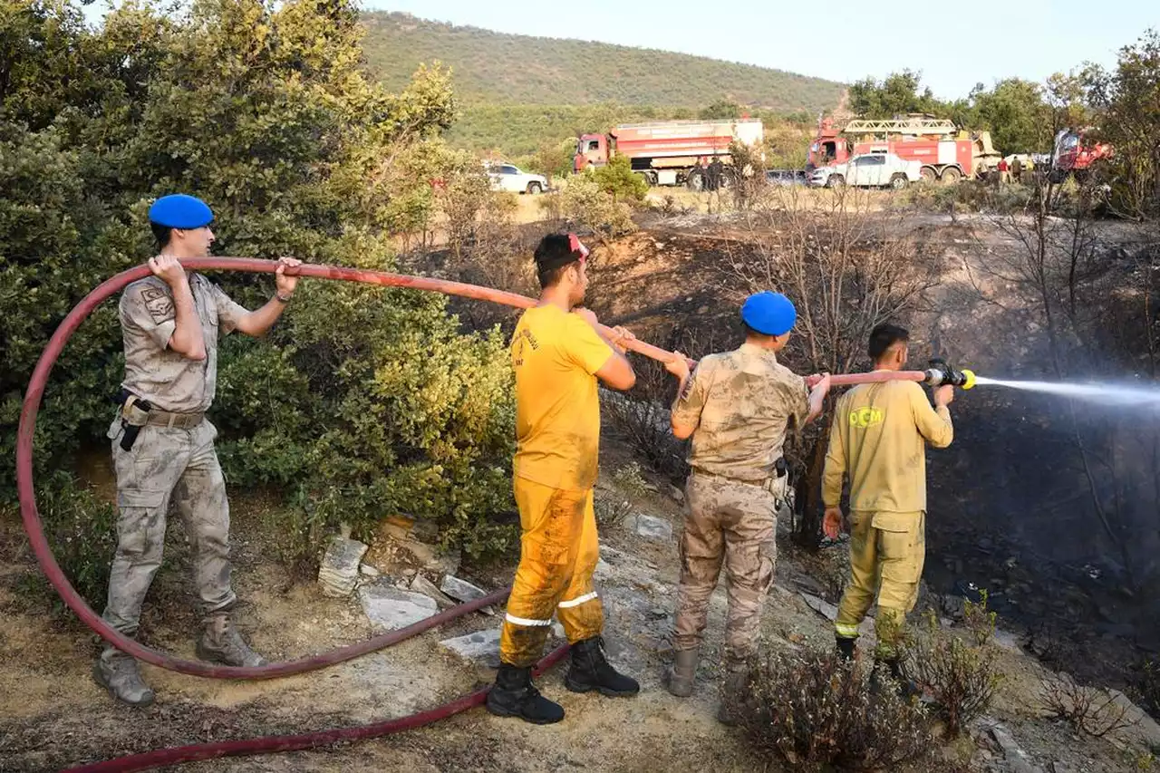 Uşak’taki Orman Yangınlarda Kaç Kişiye Ne Kadar Ceza Geldi