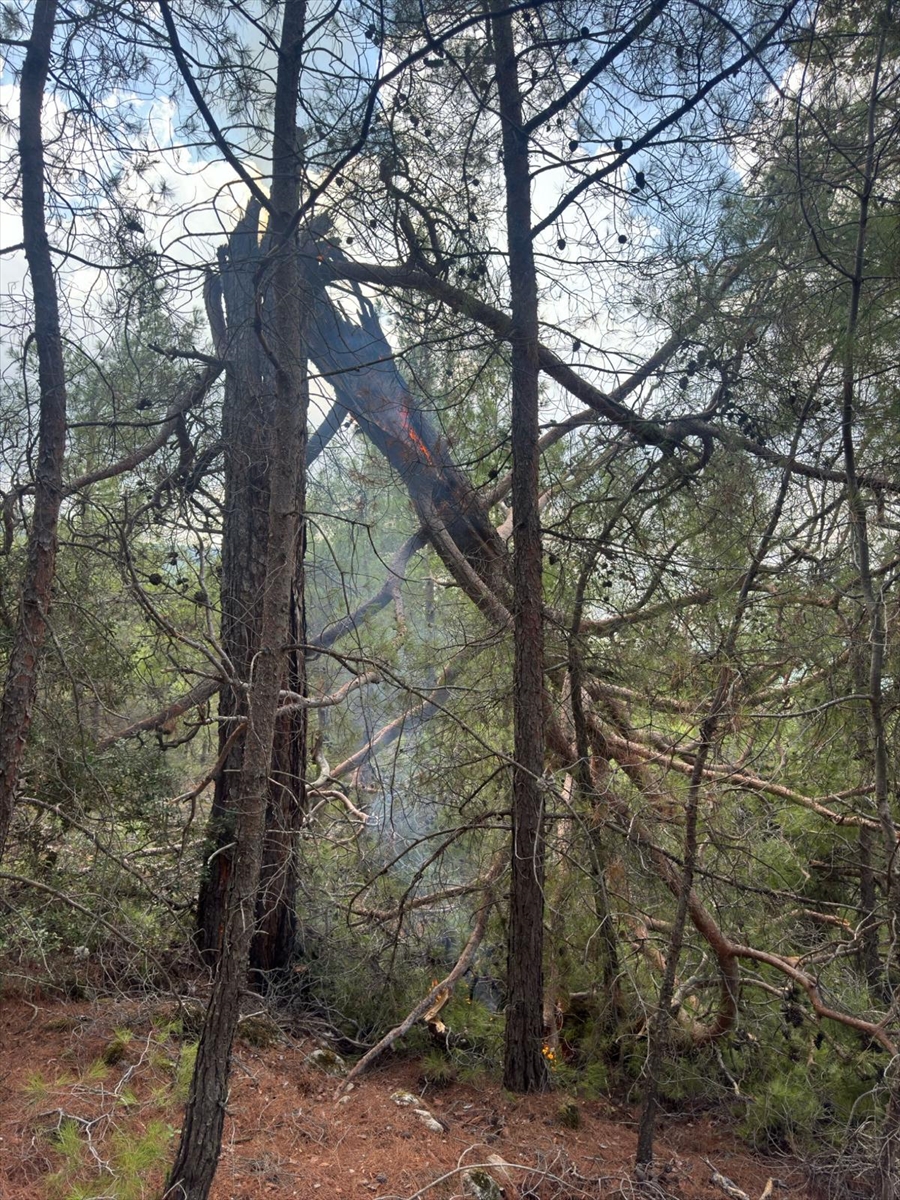 Muğla'da yıldırımlar 50 yerde yangına neden oldu