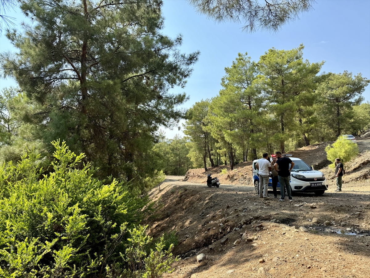 Muğla'da ormanlık alanda terk edilmiş bebek bulundu