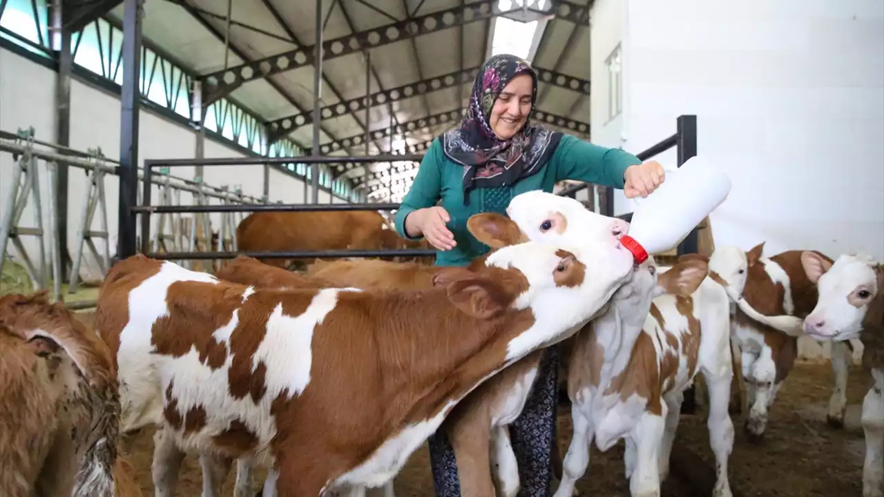 Uşaklı Ev Hanımından Çiftlik Sahibesine: Süreyya Kozak’ın İlham Veren Hikayesi
